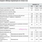 Котел Chaffoteaux Niagara C таблица параметров по типам газа