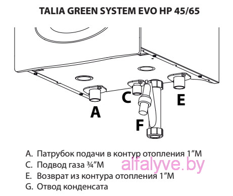 Подсоединительные размеры Chaffoteaux Talia Green Evo System HP 45-65 FF