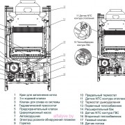 Внутреннее устройство котла Beretta City 24 CAI