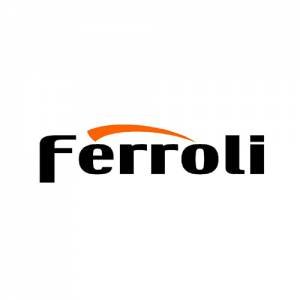 Запчасти на Ferroli