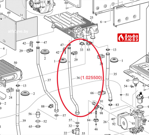 Трубка холодной воды под номером 36 на схеме 1-025500 на котел Immergas Eolo Star 24 Квт